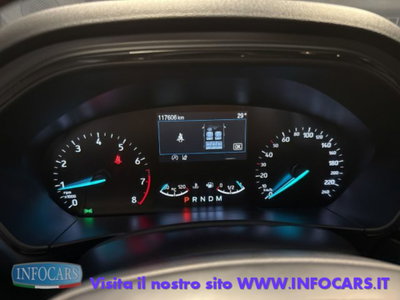 Ford Focus Station Wagon 1.0 EcoBoost Hybrid 155 CV SW ST-Line (13)