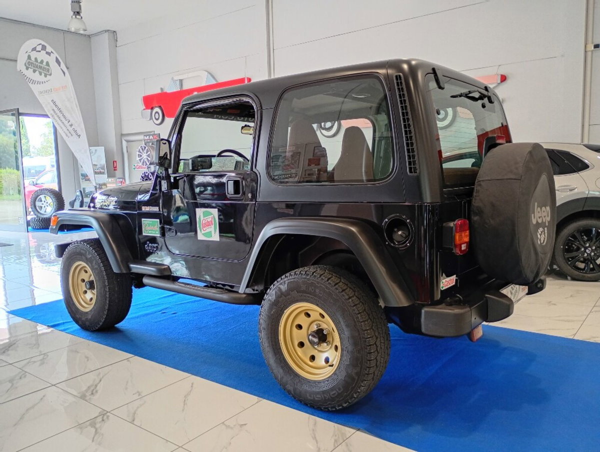 Jeep Wrangler 4.0 cat Hard top (EU) (4)