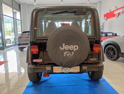 Jeep Wrangler 4.0 cat Hard top (EU) (5)