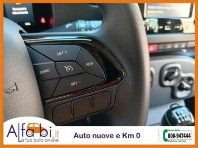 Fiat Pandina 1.0 firefly hybrid Icon s&s 65cv (14)