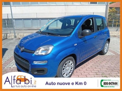 Fiat Pandina 1.0 firefly hybrid Icon s&s 65cv (2)