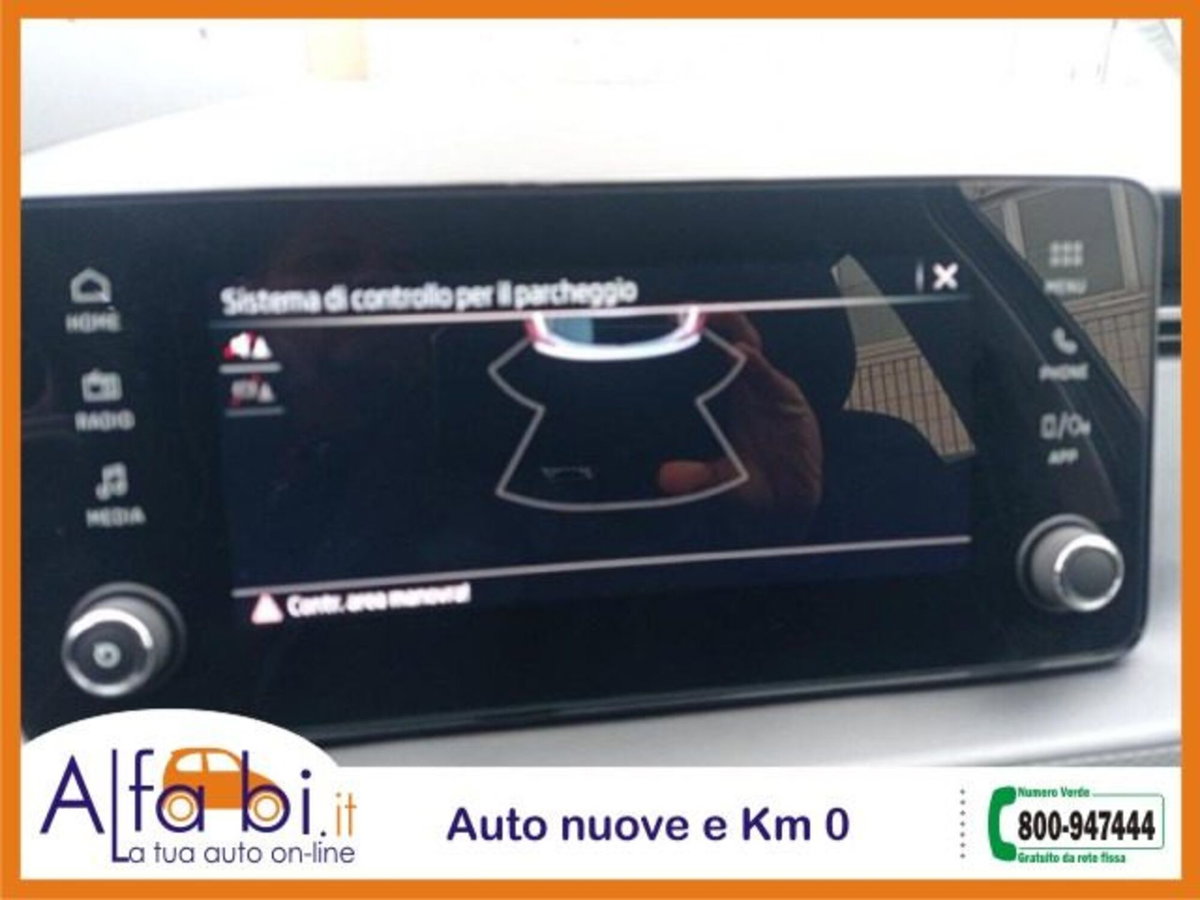 Skoda Kamiq 1.0 tsi Selection 115cv (18)