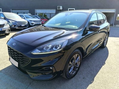 Ford Kuga 1.5 EcoBlue 120 CV 2WD ST-Line usata