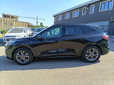 Ford Kuga 1.5 EcoBlue 120 CV 2WD ST-Line (4)