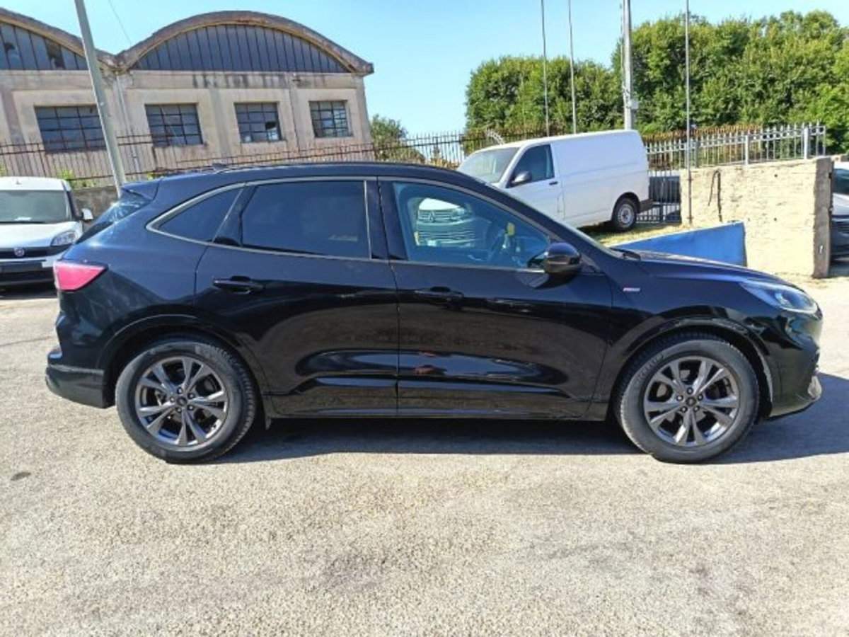 Ford Kuga 1.5 EcoBlue 120 CV 2WD ST-Line (5)