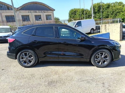 Ford Kuga 1.5 EcoBlue 120 CV 2WD ST-Line (5)