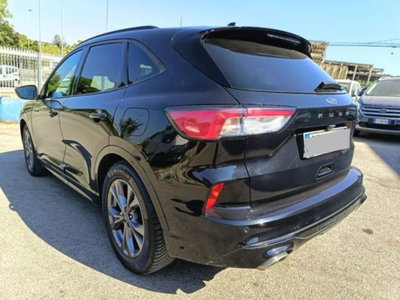Ford Kuga 1.5 EcoBlue 120 CV 2WD ST-Line (6)