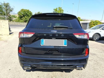 Ford Kuga 1.5 EcoBlue 120 CV 2WD ST-Line (8)