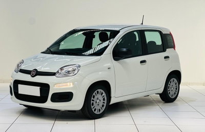 Fiat Pandina 1.0 firefly hybrid s&s 70cv usata