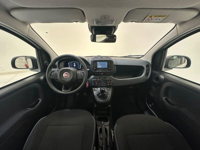 Fiat Pandina 1.0 firefly hybrid s&s 70cv (18)
