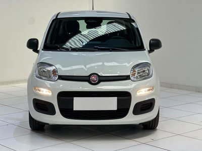 Fiat Pandina 1.0 firefly hybrid s&s 70cv (2)