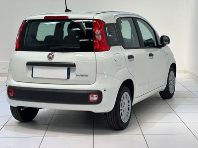 Fiat Pandina 1.0 firefly hybrid s&s 70cv (4)