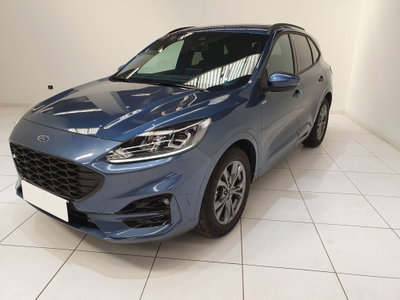 Ford Kuga 2.0 EcoBlue 120 CV aut. 2WD ST-Line X usata