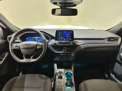 Ford Kuga 2.0 EcoBlue 120 CV aut. 2WD ST-Line X (14)