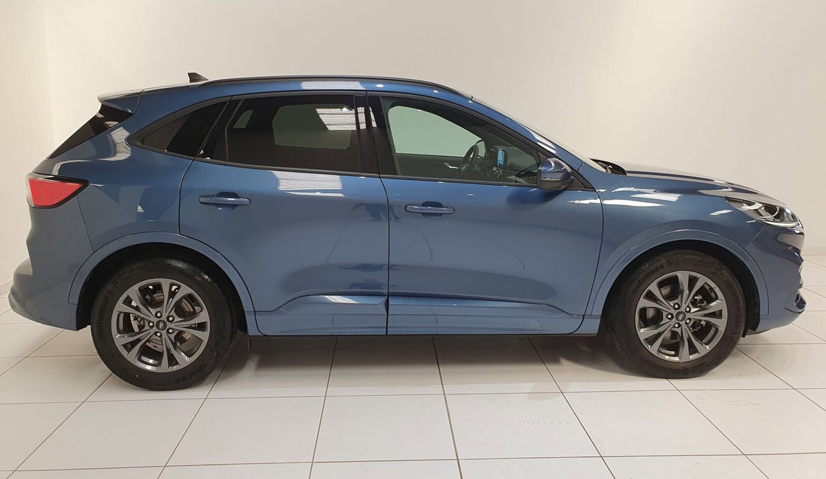 Ford Kuga 2.0 EcoBlue 120 CV aut. 2WD ST-Line X (5)