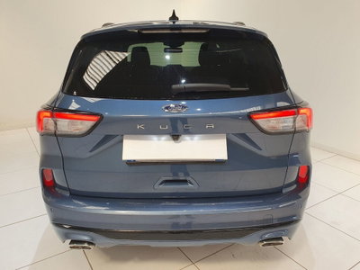 Ford Kuga 2.0 EcoBlue 120 CV aut. 2WD ST-Line X (6)