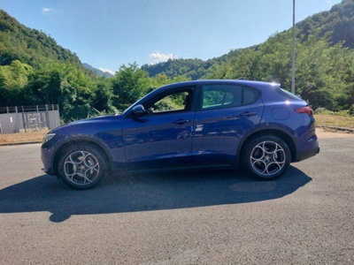 Alfa Romeo Stelvio Stelvio 2.2 Turbodiesel 190 CV AT8 Q4 Super Business (5)