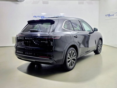 Geely Starray Starray EM-i 1.5 phev Launch Edition auto (4)