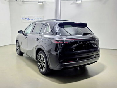 Geely Starray Starray EM-i 1.5 phev Launch Edition auto (6)