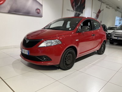 Lancia Ypsilon 1.2 69 CV 5 porte Elefantino usata