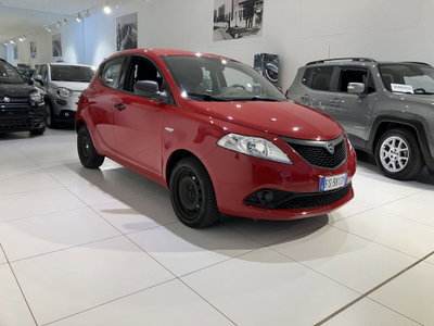 Lancia Ypsilon 1.2 69 CV 5 porte Elefantino (3)