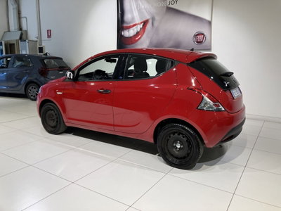 Lancia Ypsilon 1.2 69 CV 5 porte Elefantino (4)