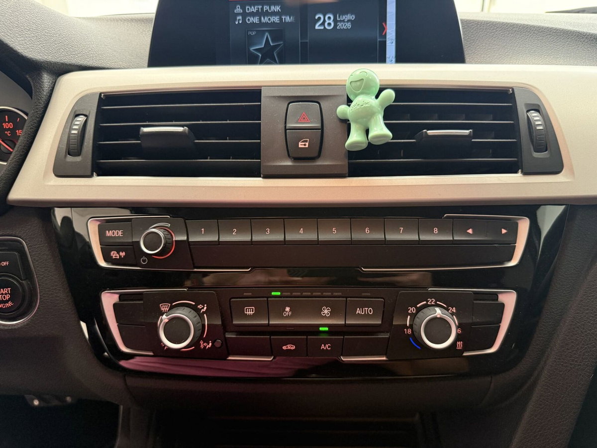 BMW Serie 3 Touring 318d  Business Advantage (12)