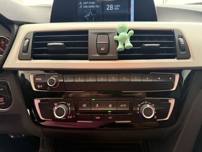 BMW Serie 3 Touring 318d  Business Advantage (12)