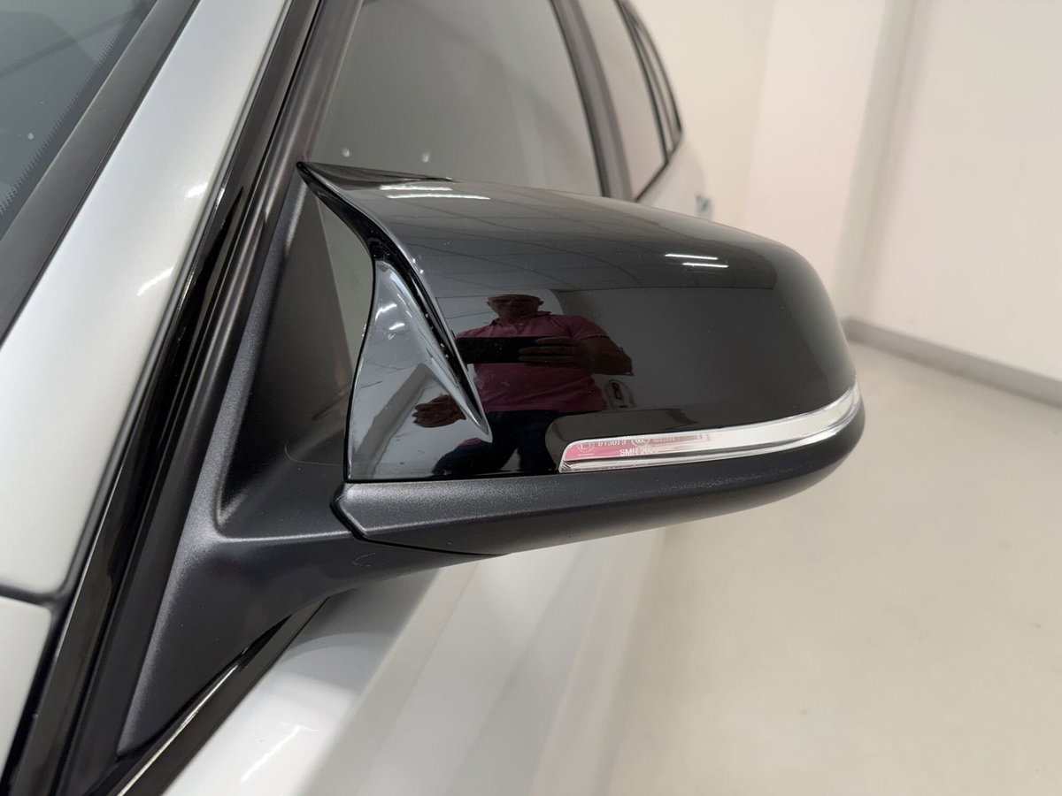 BMW Serie 3 Touring 318d  Business Advantage (18)