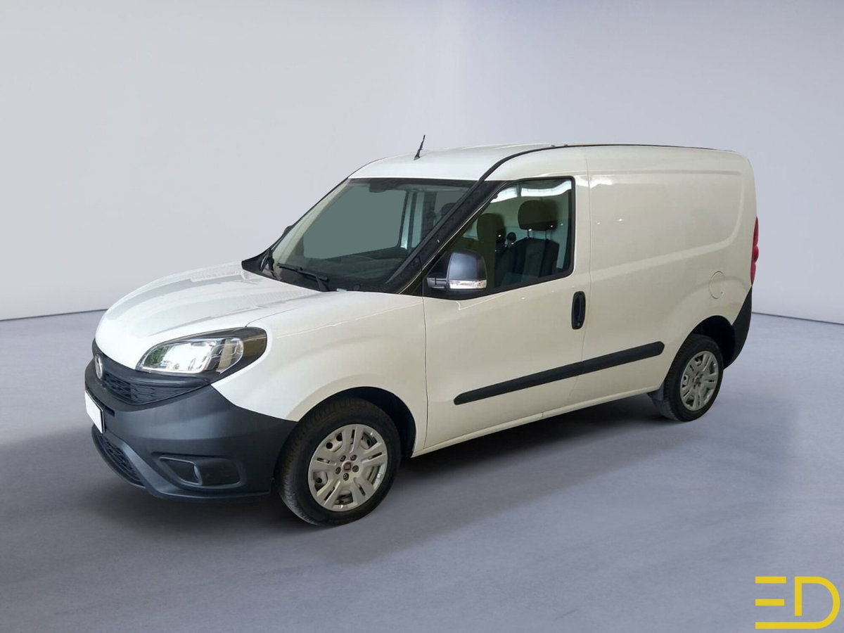 Fiat Doblò Furgone cargo 1.6 mjt 105cv CH1 Lounge S&S (3)