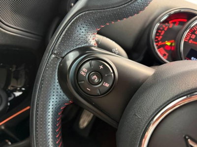 MINI Mini Countryman 2.0 Cooper SD Untamed Edition Countryman ALL4 (17)