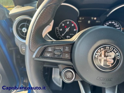 Alfa Romeo Stelvio Stelvio 2.2 Turbodiesel 210 CV AT8 Q4 Veloce (13)