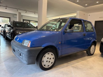 Fiat Cinquecento 900i cat Young (2)