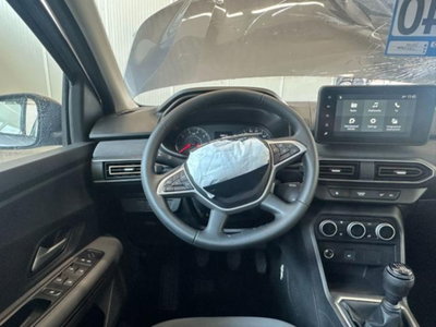 Dacia Sandero Stepway 1.0 tce Extreme Eco-g 100cv (17)