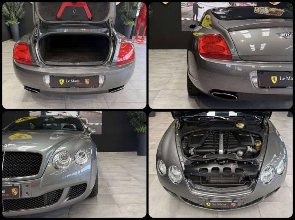 Bentley Continental GT Continental GT 6.0 W12 Speed Edition 12 auto (15)
