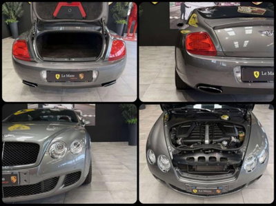 Bentley Continental GT Continental GT 6.0 W12 Speed Edition 12 auto (15)