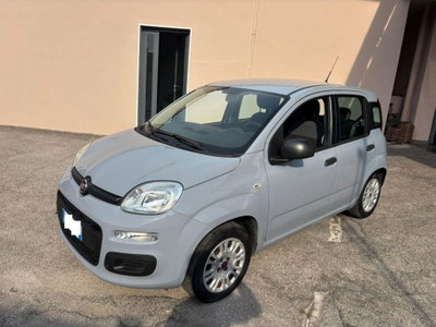 Fiat Panda 1.2 EasyPower Easy usata