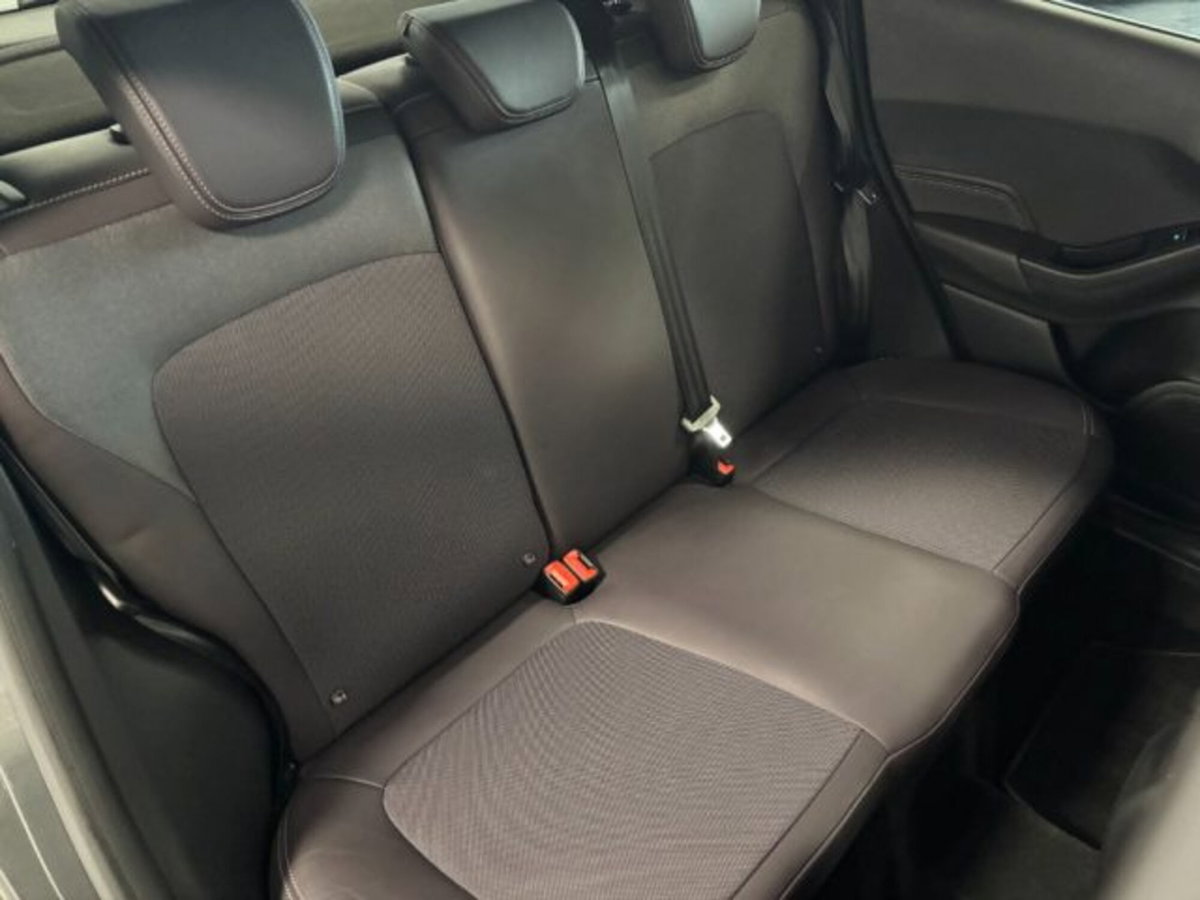 Ford Fiesta 1.5 TDCi 5 porte Vignale (13)