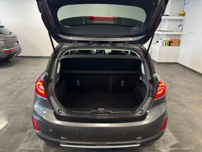 Ford Fiesta 1.5 TDCi 5 porte Vignale (14)