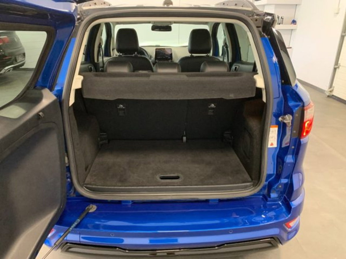 Ford EcoSport 1.0 EcoBoost 125 CV (20)