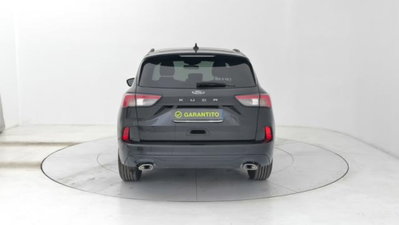 Ford Kuga 1.5 EcoBlue 120 CV 2WD ST-Line (4)