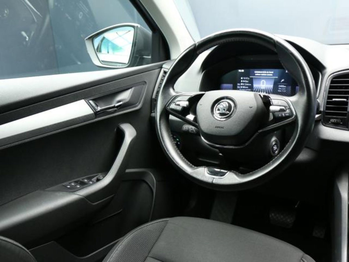 Skoda Karoq 2.0 tdi Executive 115cv (11)