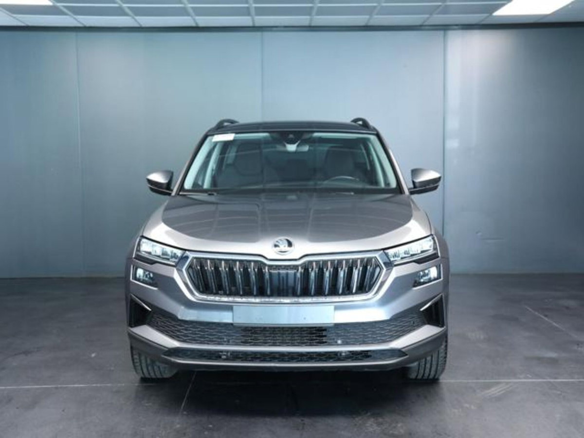 Skoda Karoq 2.0 tdi Executive 115cv (2)