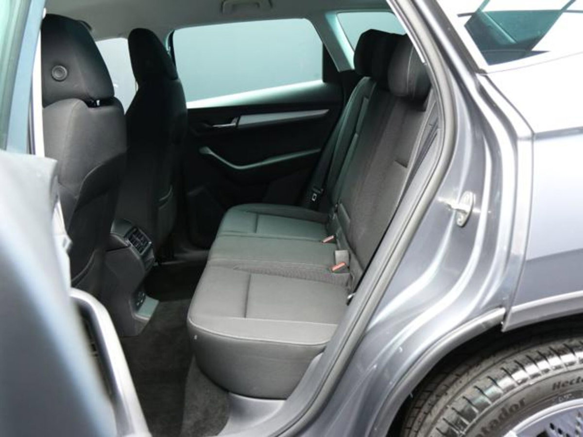Skoda Karoq 2.0 tdi Executive 115cv (8)