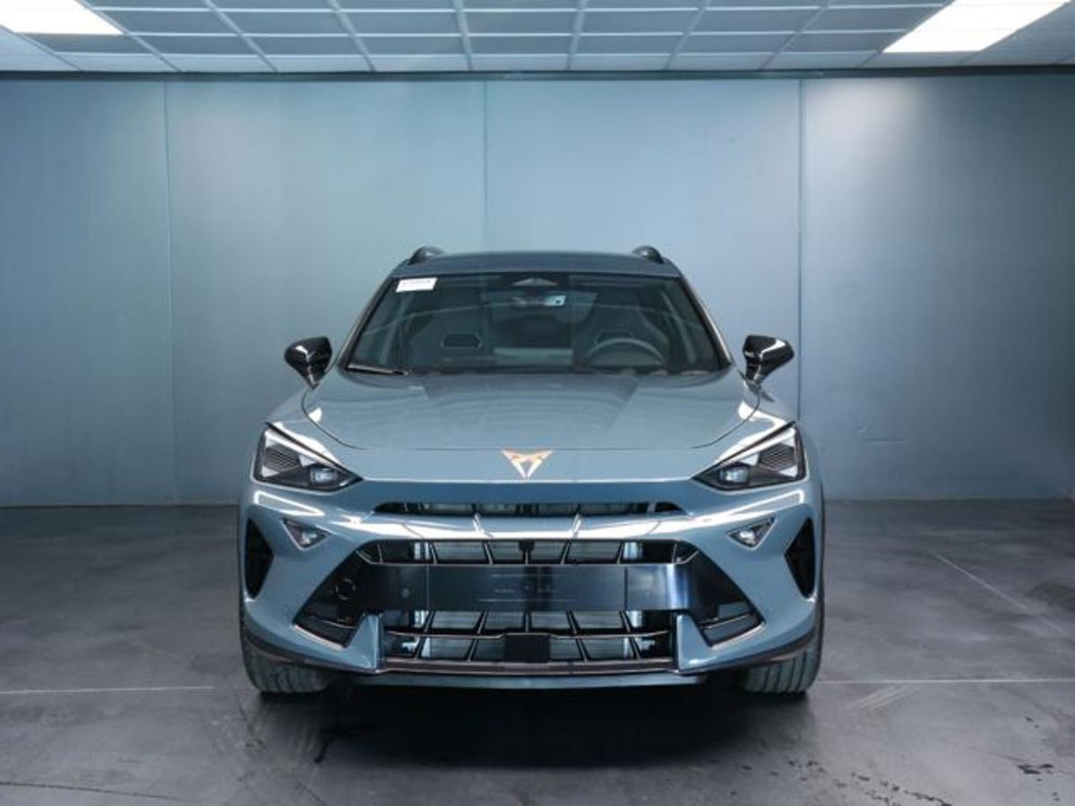 Cupra Formentor 1.5 hybrid 150cv dsg (2)