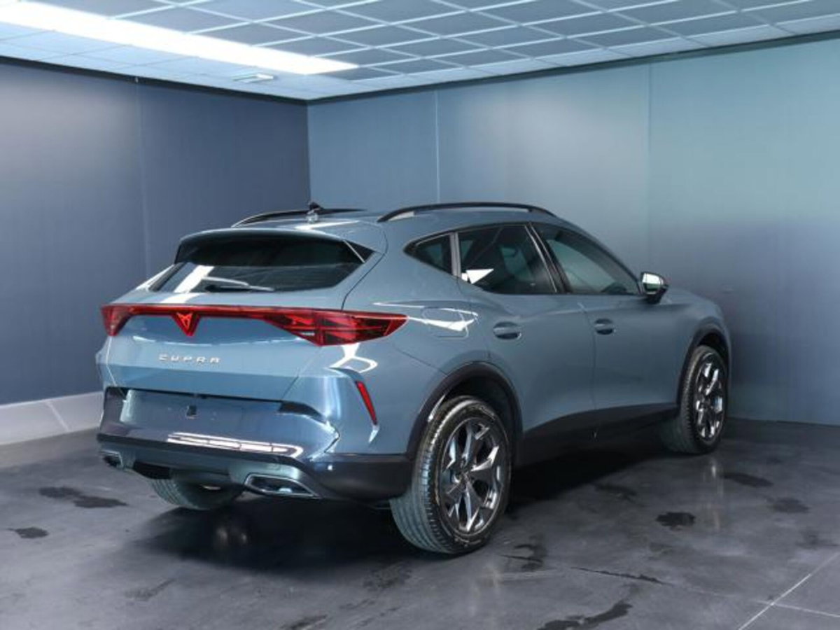 Cupra Formentor 1.5 hybrid 150cv dsg (3)