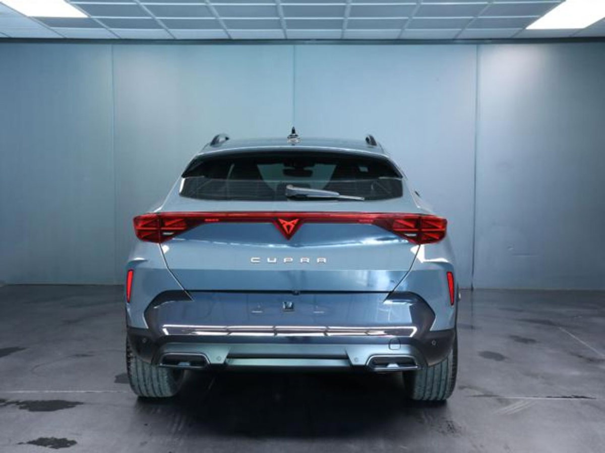 Cupra Formentor 1.5 hybrid 150cv dsg (4)