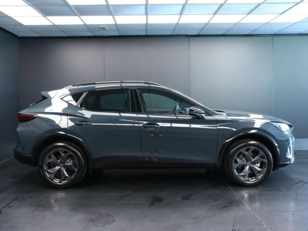 Cupra Formentor 1.5 hybrid 150cv dsg (6)