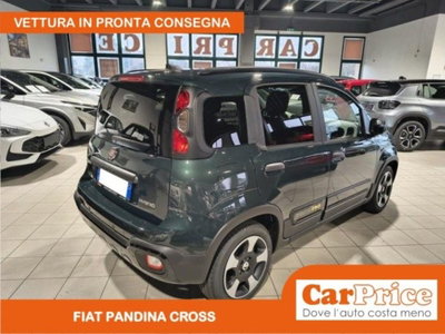 Fiat Pandina 1.0 firefly hybrid s&s 65cv (3)
