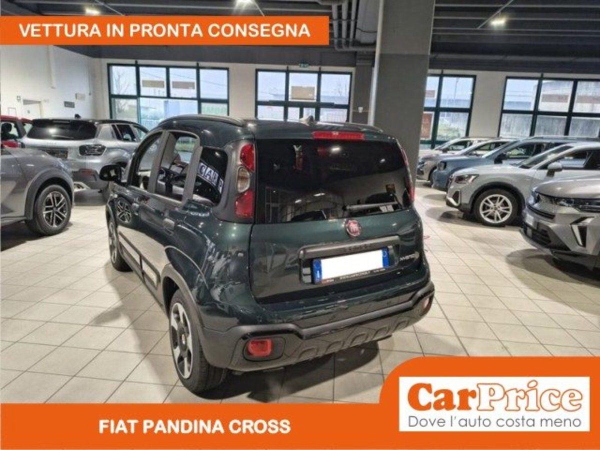 Fiat Pandina 1.0 firefly hybrid s&s 65cv (4)